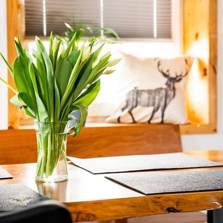 Neu Renoviertes Ferienhaus/Wohnunng Kleine Auszeit Зонненбюль Экстерьер фото